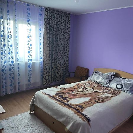 Sofia Rezidence Apartment Dragasani ภายนอก รูปภาพ