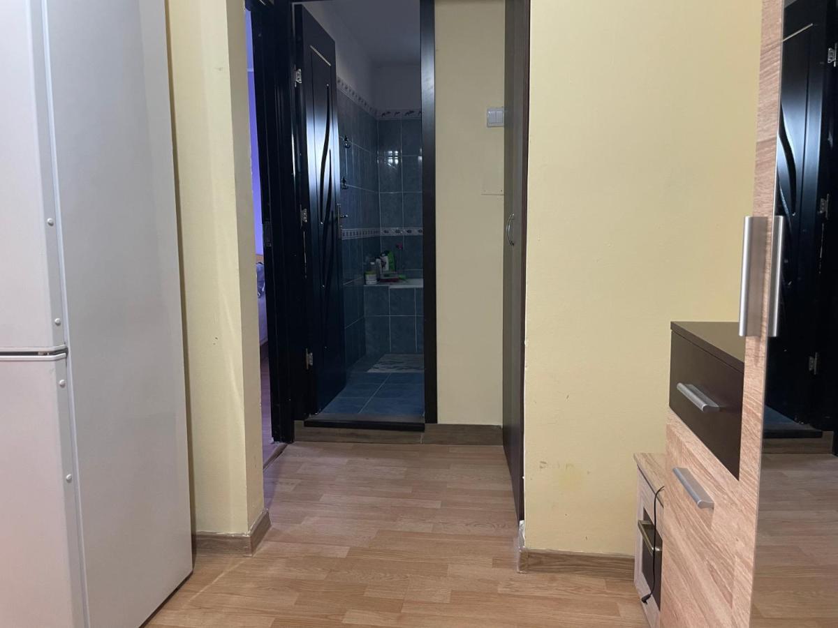 Sofia Rezidence Apartment Dragasani ภายนอก รูปภาพ